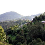 Great view