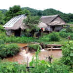Huts