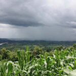 rain-on-the-way