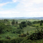 view-back-from-the-falls