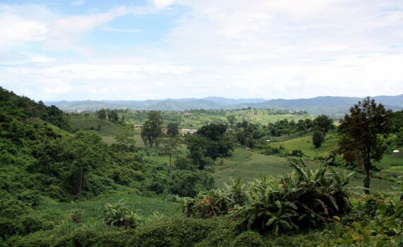 view-back-from-the-falls