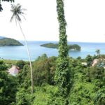 Hill top view