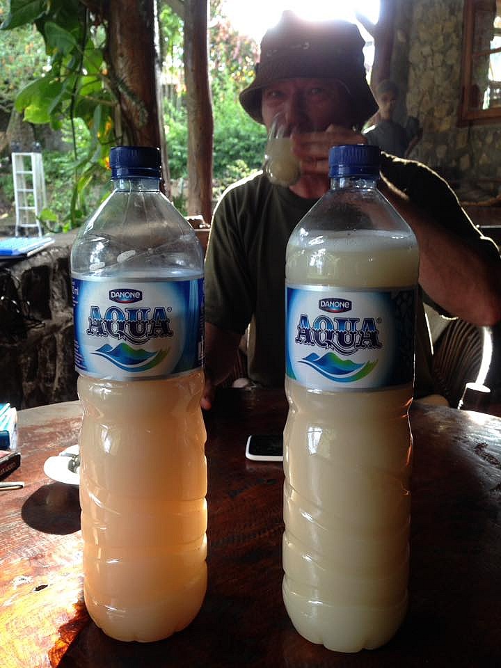 Palm wine