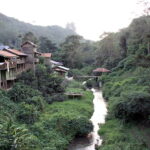 Village