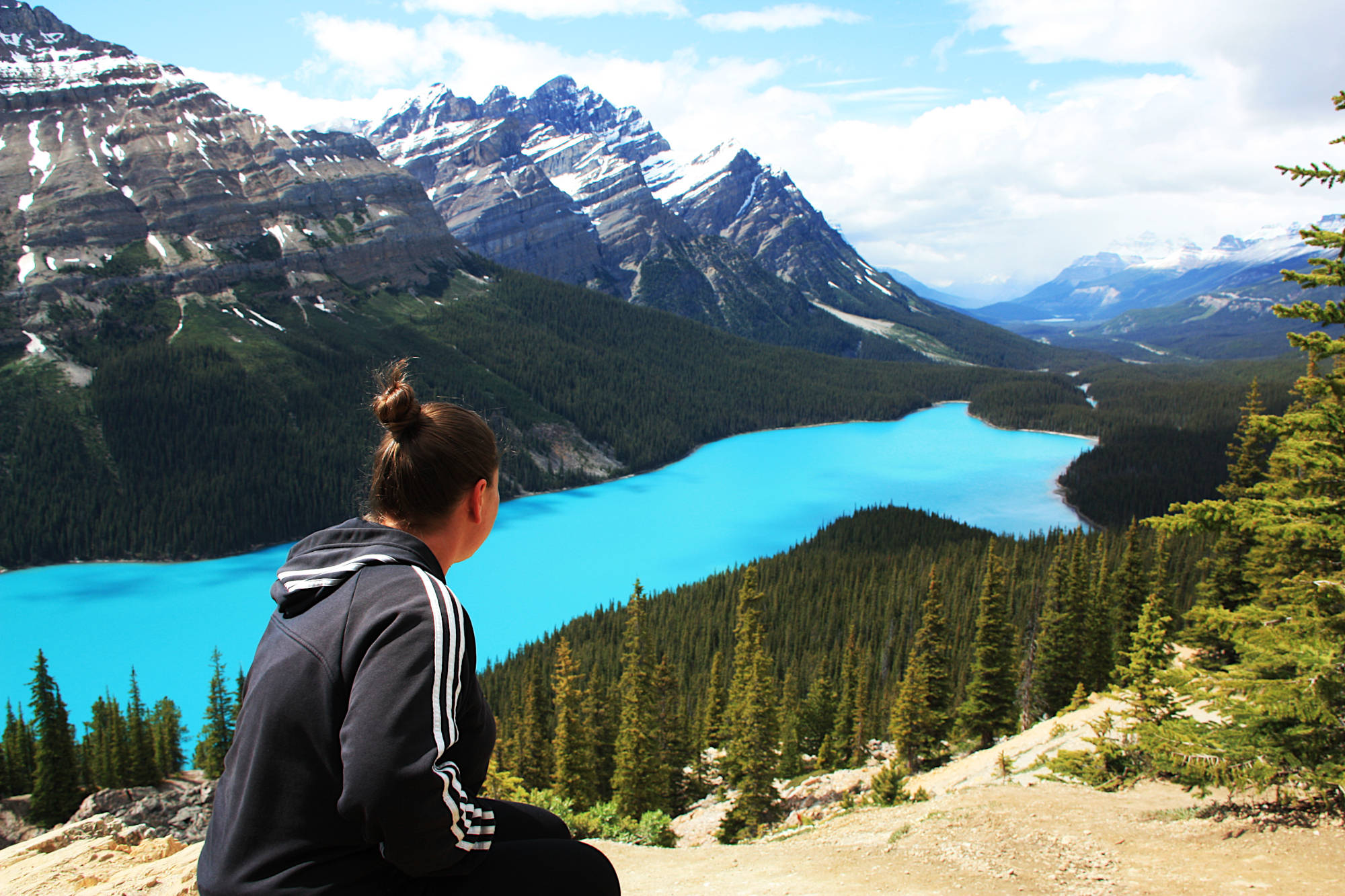 lake peyto-banff national park