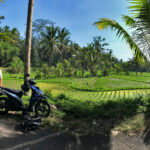 Ubud scooter ride