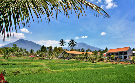 Grand Harvest Resort