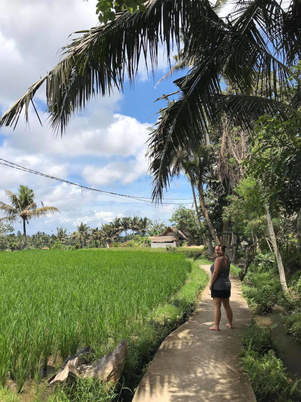 Dani at the rice fields
